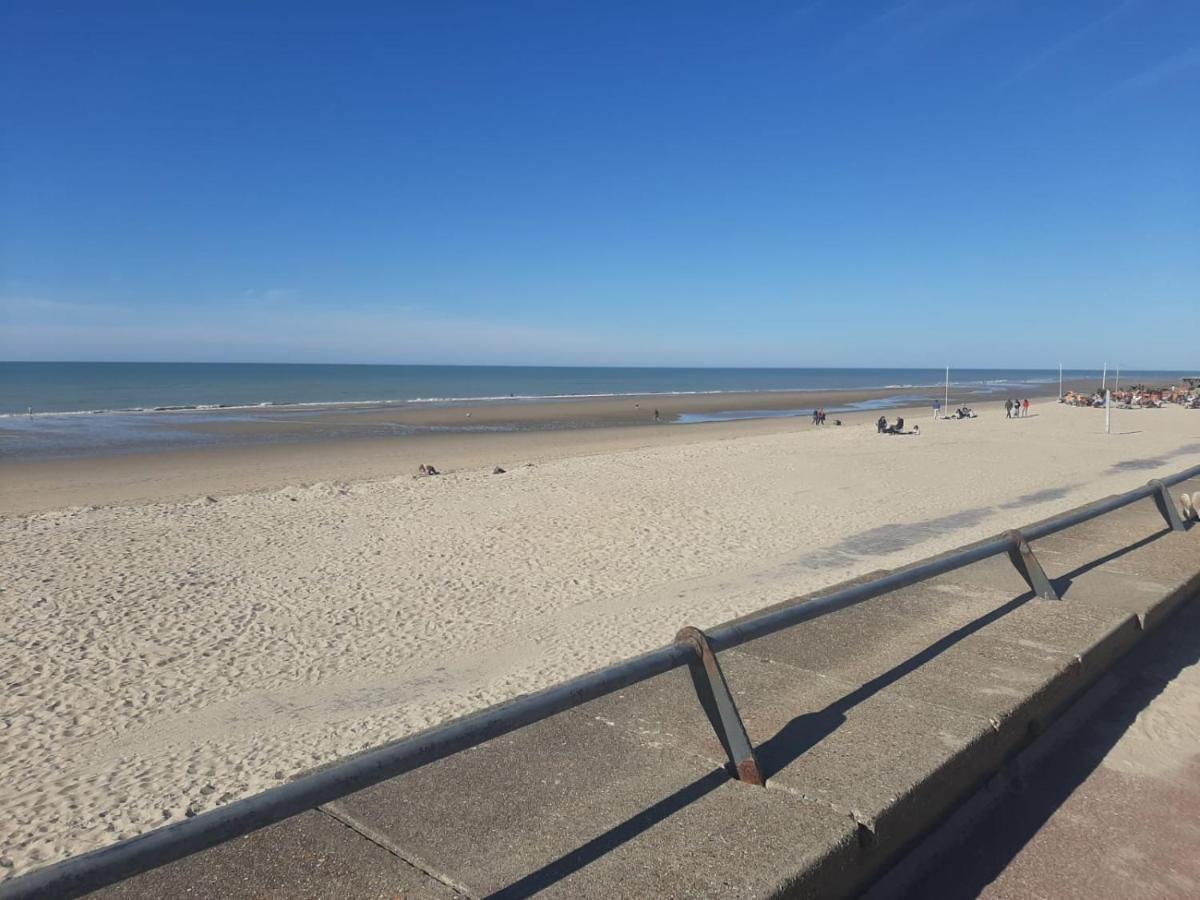 Villa 100 M Du Touquet Entre Foret Et Mer كوسيك المظهر الخارجي الصورة